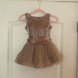 Girls Biscotti Size 2 Dress- Fancy